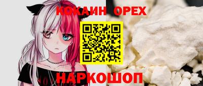 гидра Будённовск