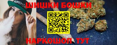 гидра Будённовск