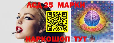 гидра Будённовск