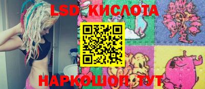 гидра Будённовск