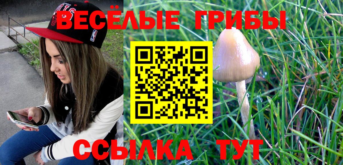Галлюциногенные грибы Magic Shrooms  Вход с VPN  Лосино-Петровский 